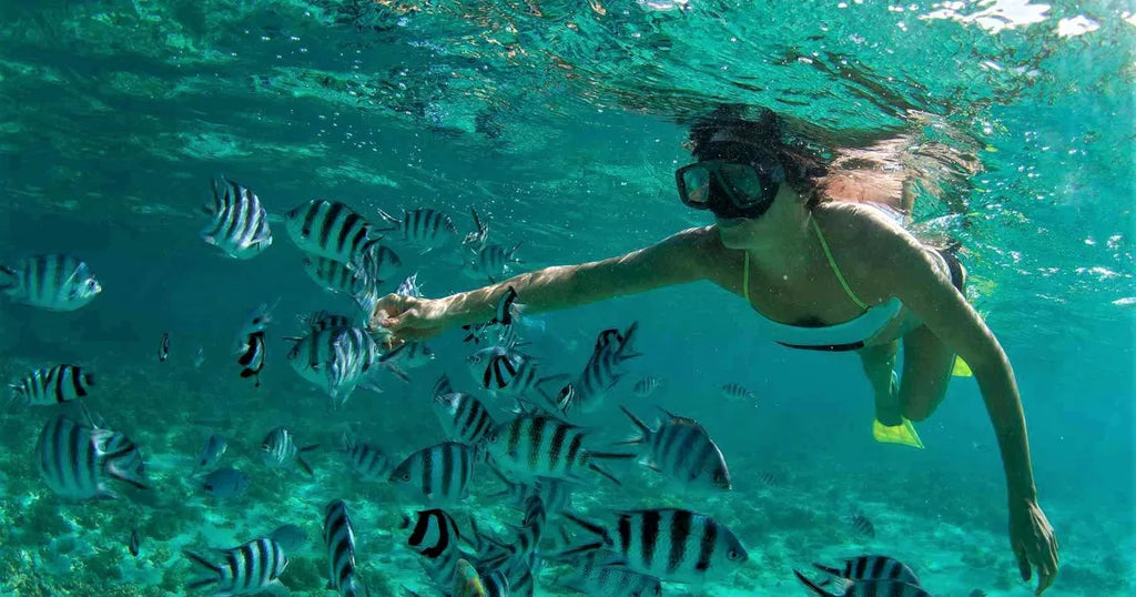 MADAGASCAR ISLAND HOPPING  ESCAPE