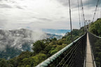 RWANDA GORILLA & RAINFOREST SAFARI