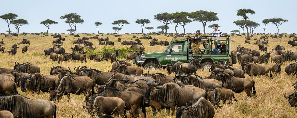 SERENGETI GREAT MIGRATION SAFARI