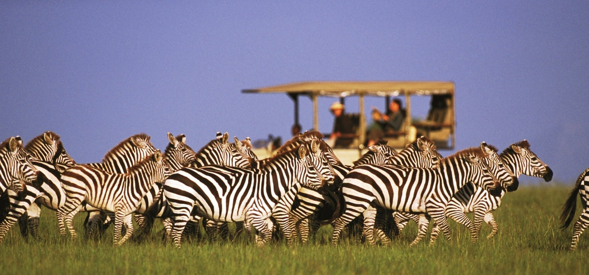 VICTORIA FALLS, CHOBE & OKAVANGO EXPLORER
