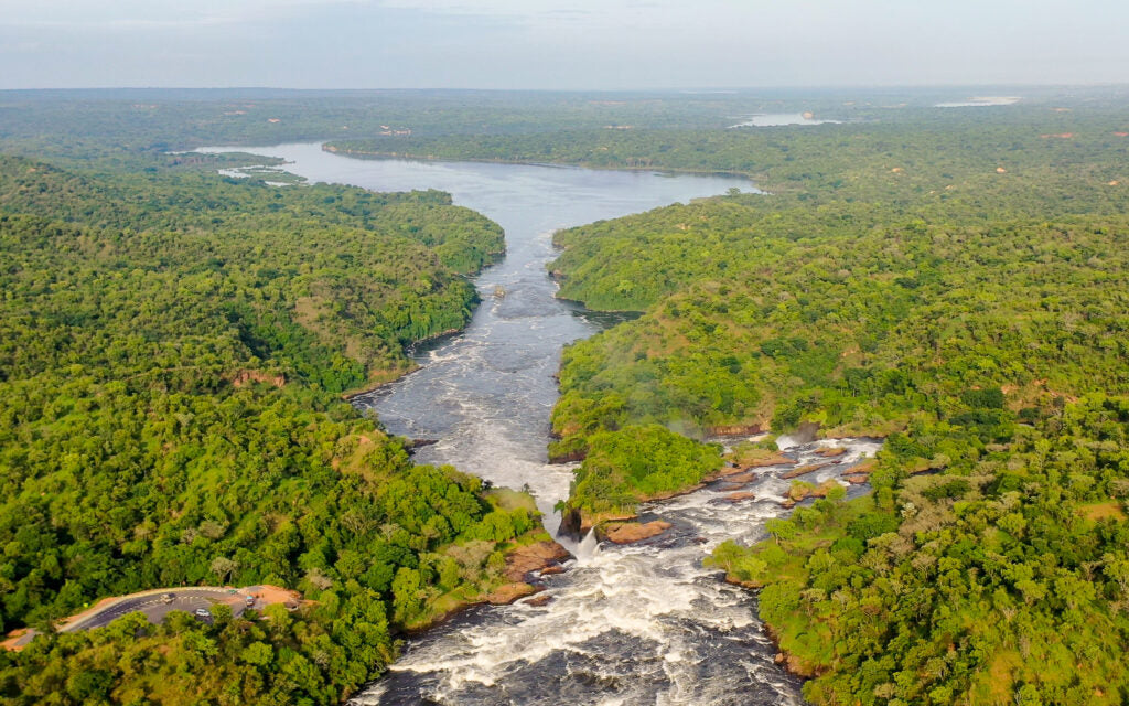 UGANDA GORILLA & WILDLIFE SAFARI