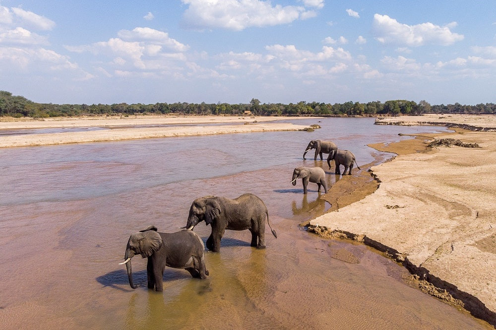 ZAMBEZI & LUANGWA SIGNATURE SAFARI
