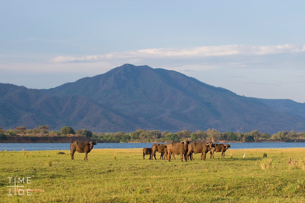 ZAMBEZI & LUANGWA SIGNATURE SAFARI