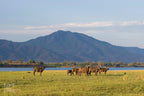 ZAMBEZI & LUANGWA SIGNATURE SAFARI