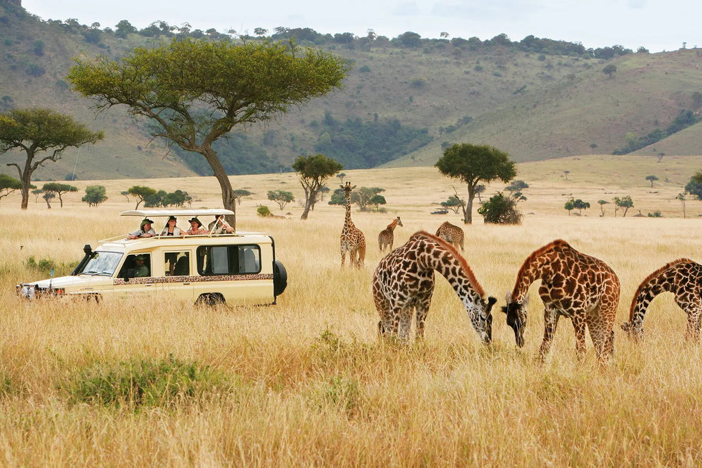 GREAT EAST AFRICA MIGRATION SAFARI