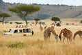GREAT EAST AFRICA MIGRATION SAFARI