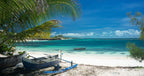 MADAGASCAR RAINFOREST & ISLAND DISCOVERY