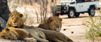 VICTORIA FALLS & HWANGE SAFARI