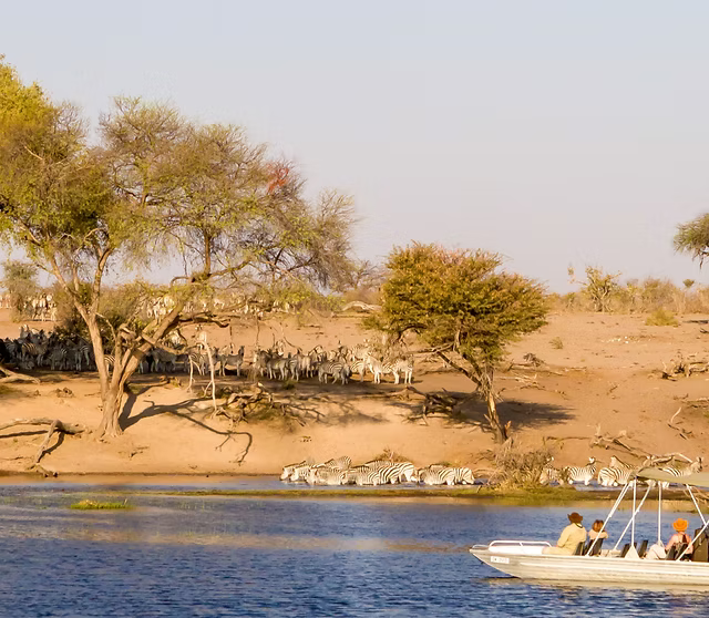 BOTSWANA SIGNATURE SAFARI