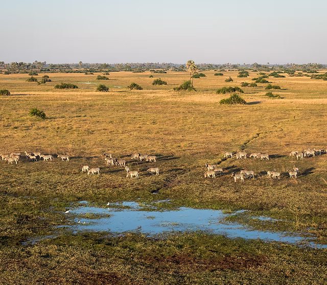 VICTORIA FALLS, CHOBE & OKAVANGO EXPLORER