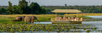 VICTORIA FALLS & CHOBE SAFARI