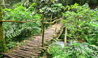 UGANDA GORILLA & WILDLIFE SAFARI