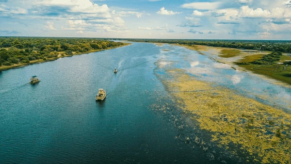 BOTSWANA SIGNATURE SAFARI