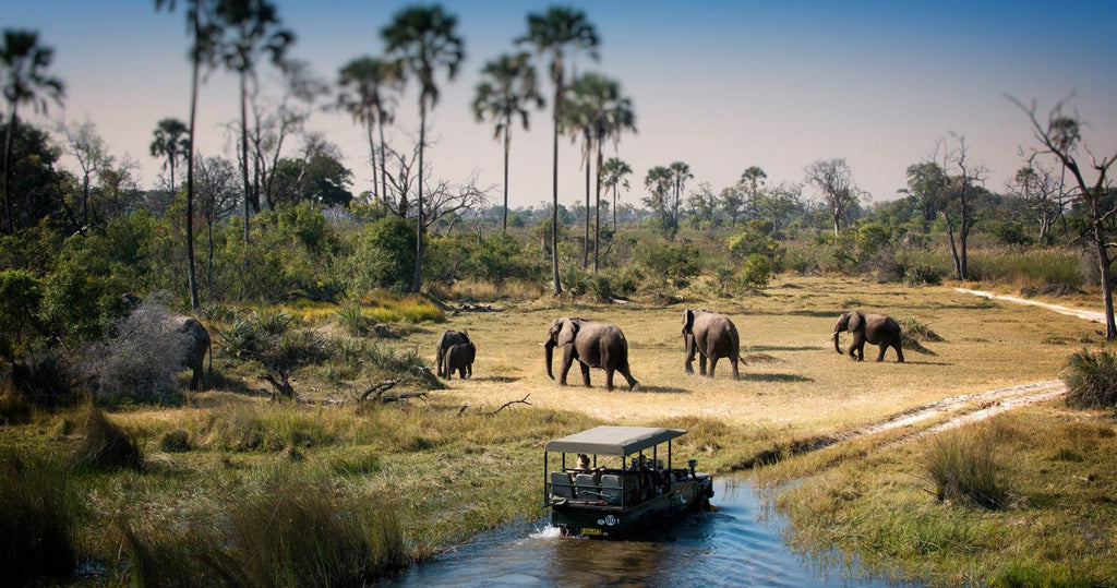 ZAMBEZI GRAND EXPLORER