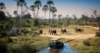 ZAMBEZI GRAND EXPLORER