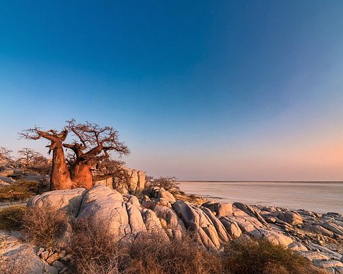 BOTSWANA SIGNATURE SAFARI