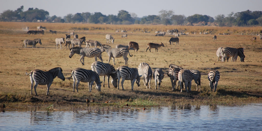 VICTORIA FALLS, CHOBE & OKAVANGO EXPLORER