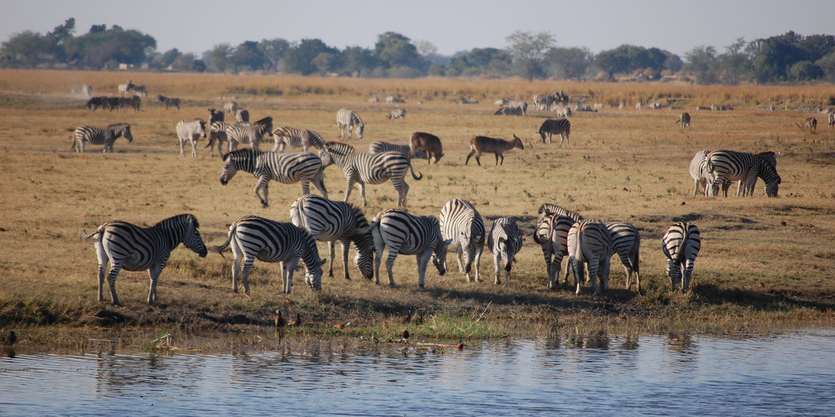 VICTORIA FALLS, CHOBE & OKAVANGO EXPLORER