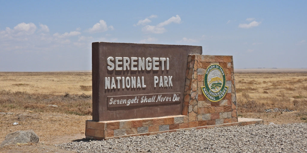 NORTHERN TANZANIA SAFARI EXPERIENCE