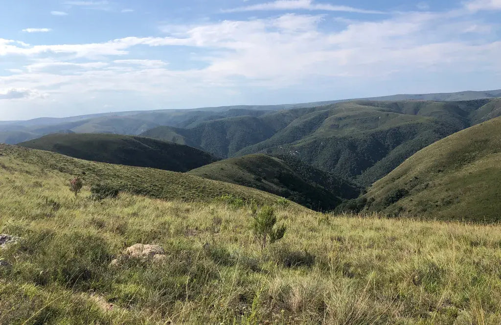 SOUTHERN AFRICA SIGNATURE JOURNEY