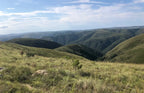 SOUTHERN AFRICA SIGNATURE JOURNEY