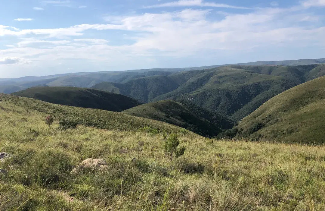 SOUTHERN AFRICA SIGNATURE JOURNEY