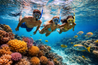 MADAGASCAR ISLAND HOPPING  ESCAPE