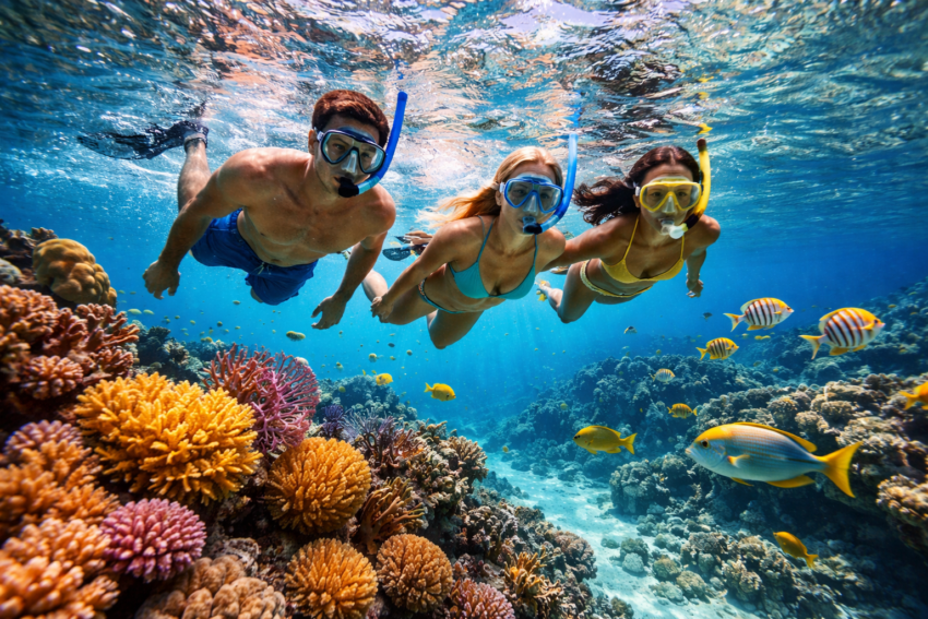 MADAGASCAR ISLAND HOPPING  ESCAPE