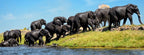 VICTORIA FALLS & CHOBE SAFARI