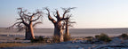 BOTSWANA SIGNATURE SAFARI