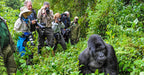 RWANDA GORILLA & RAINFOREST SAFARI