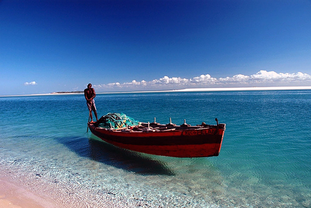 KRUGER & MOZAMBIQUE SAFARI AND BEACH ESCAPE