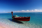 KRUGER & MOZAMBIQUE SAFARI AND BEACH ESCAPE