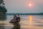 ZAMBEZI & LUANGWA SIGNATURE SAFARI