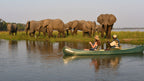 ZAMBEZI & LUANGWA SIGNATURE SAFARI