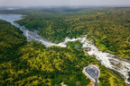 UGANDA GORILLA & WILDLIFE SAFARI