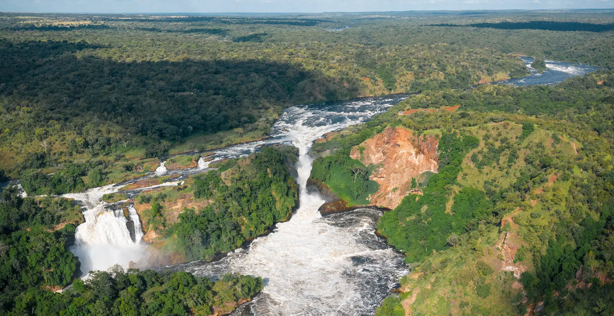 UGANDA GORILLA & WILDLIFE SAFARI