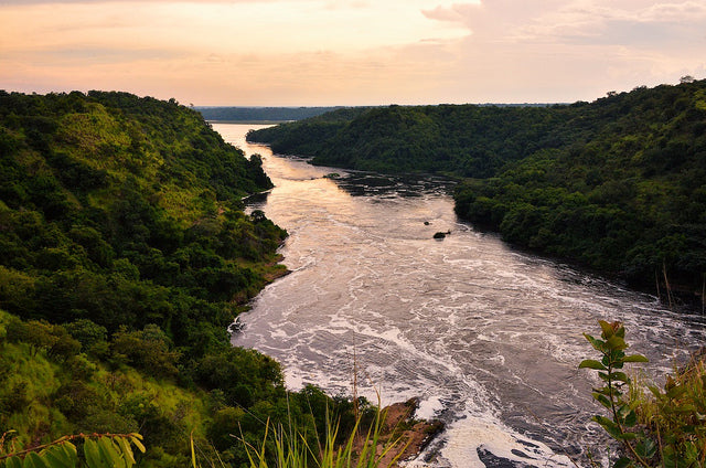 UGANDA GORILLA & WILDLIFE SAFARI