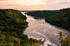 UGANDA GORILLA & WILDLIFE SAFARI