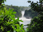 UGANDA GORILLA & WILDLIFE SAFARI