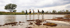 ZAMBEZI & LUANGWA SIGNATURE SAFARI
