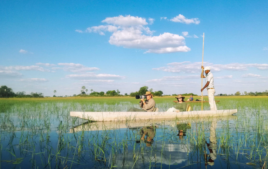 BOTSWANA WILDLIFE EXPLORER