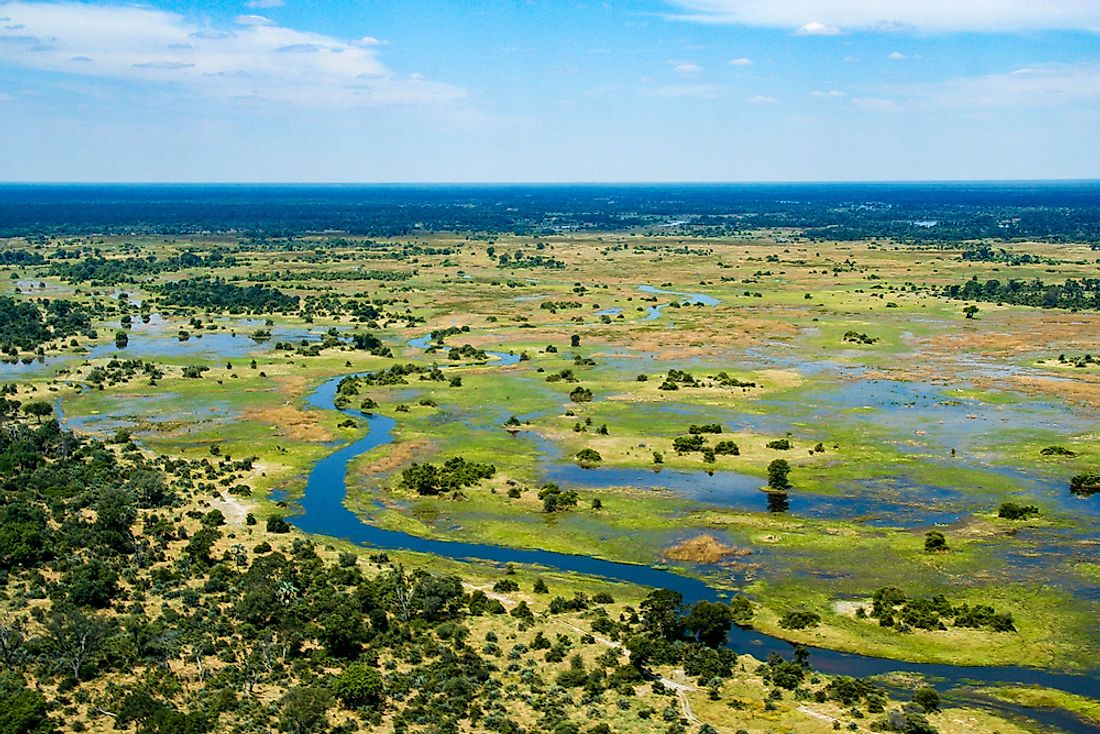 BOTSWANA WILDLIFE EXPLORER