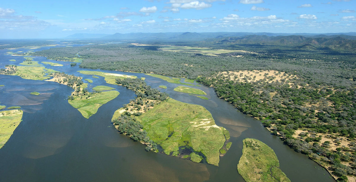 ZAMBEZI & LUANGWA SIGNATURE SAFARI