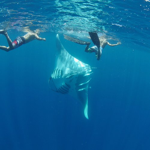 MADAGASCAR ISLAND HOPPING  ESCAPE