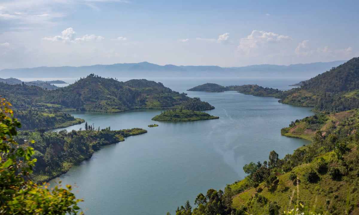 RWANDA GORILLA & RAINFOREST SAFARI