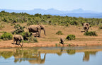 UGANDA GORILLA & WILDLIFE SAFARI