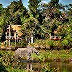 VICTORIA FALLS & CHOBE SAFARI