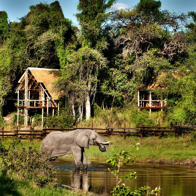 VICTORIA FALLS & CHOBE SAFARI