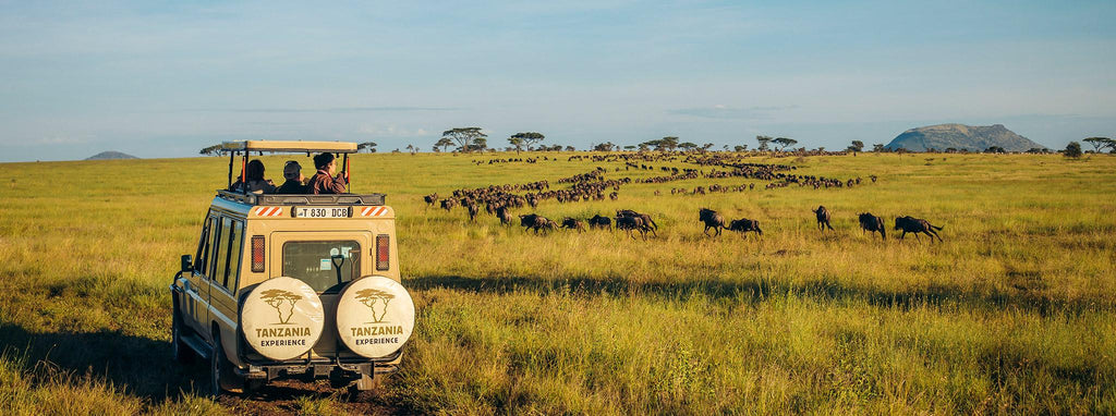 NORTHERN TANZANIA SAFARI EXPERIENCE